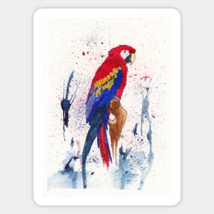 Red and Blue Macaw 2 Sticker